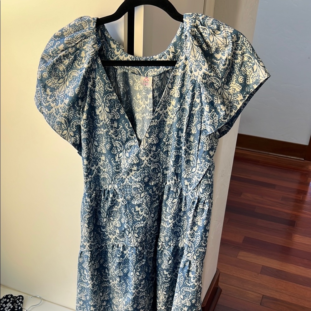 Chic Blue and White Paisley Dress